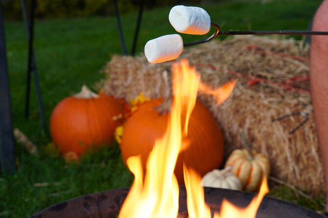 Fireside Warm-Up: Wine Tasting, S'mores & Mulled Wine in Kelowna - Who should book this Kelowna experience