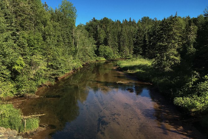 Fly Fishing Guided Experiences - A private morning or afternoon on Prince Edward Island