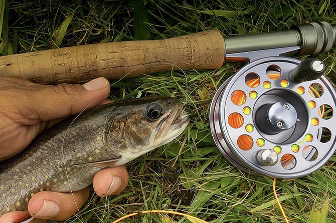 Fly Fishing Guided Experiences - What $328.62 per person buys you