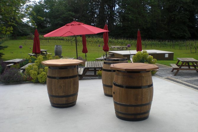 Fraser Valley Social Wine Tasting Private Tour - Stop one: Lulu Island Winery and Canadian icewine