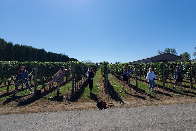 Fraser Valley Wine Tour from Vancouver with a Light Lunch - Who should book this Fraser Valley outing?