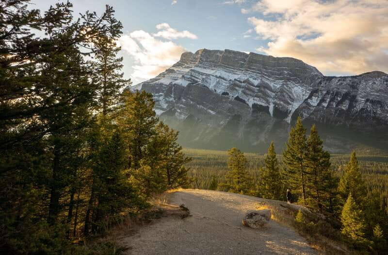 From Banff: Banff Wildlife & Scenic Highlights Premium Tour - Key things to know before you book
