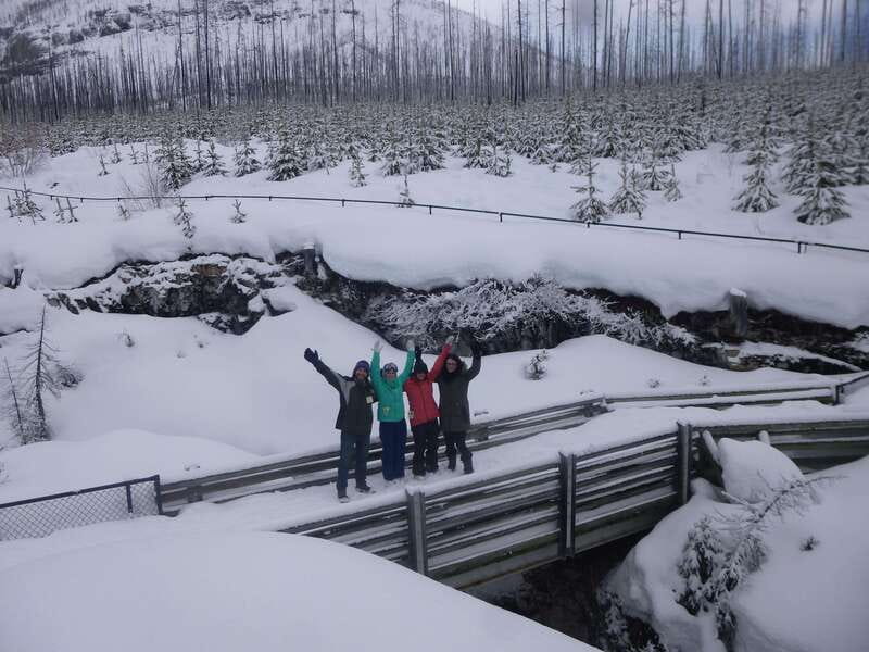 From Banff: Marble & Johnston Canyon Icewalk Combo - Johnston Canyon and its frozen waterfalls