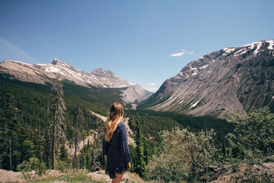 From Banff: Scenic Icefields Parkway Premium Guided Day Tour - Key points at a glance