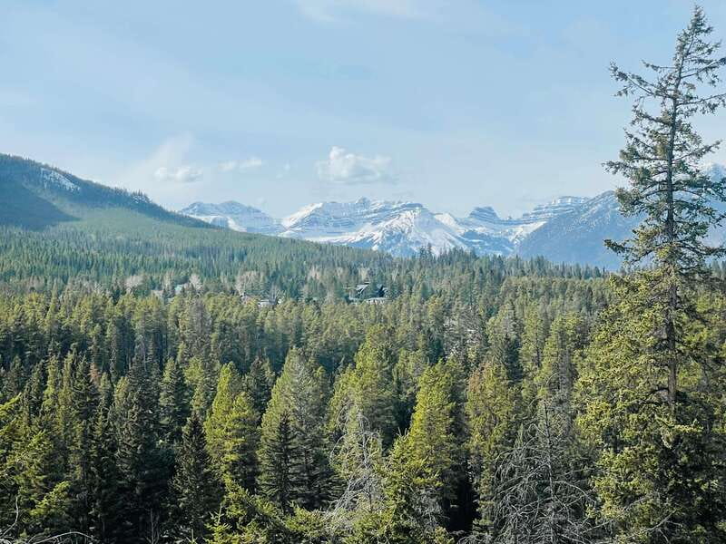 From Calgary: Banff, Moraine Lake and Lake Louise Tour - Who should book this Banff day trip