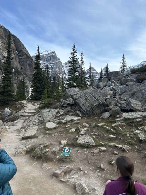 From Calgary/Banff: Moraine Lake & Lake Louise Half-Day Tour - Is $86 per person good value?