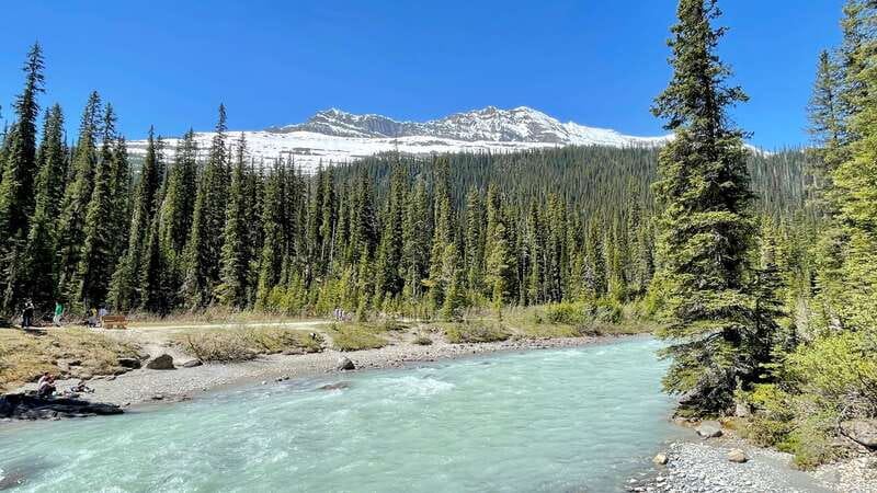 From Calgary: Banff & Yoho National Parks Private Day Tour - Emerald Lake offers a quieter change of mood