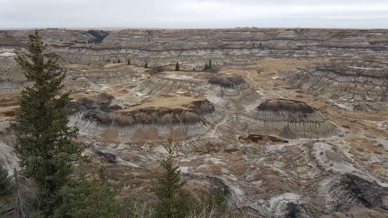 From Calgary: Canadian Badlands Private Geological Tour - Royal Tyrrell Museum deserves your best attention