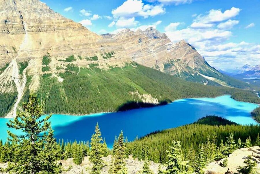 From Calgary: Explore 4 Stunning Lakes in Banff & Yoho - Peyto Lake: the first major view