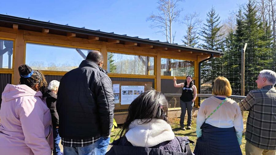From Calgary to Banff: Day Trip with Wolfdog Sanctuary Visit - Cochrane provides an early break