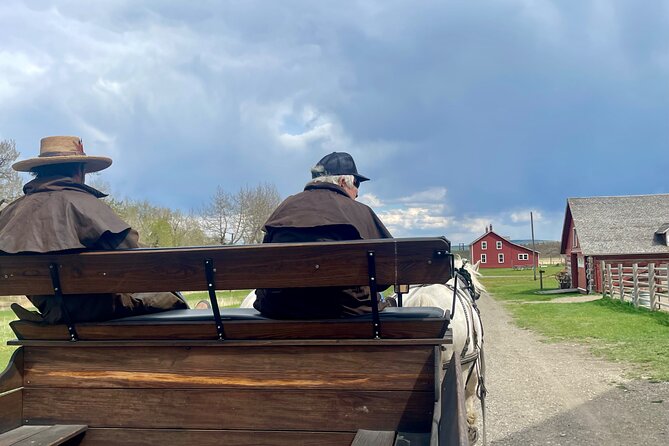 From Calgary to Waterton National Park Nature History and Wonders - Bison country offers wildlife without a guarantee
