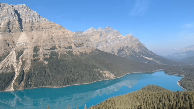 From Canmore/Banff: Icefields Parkway Experience - Key points to know before booking