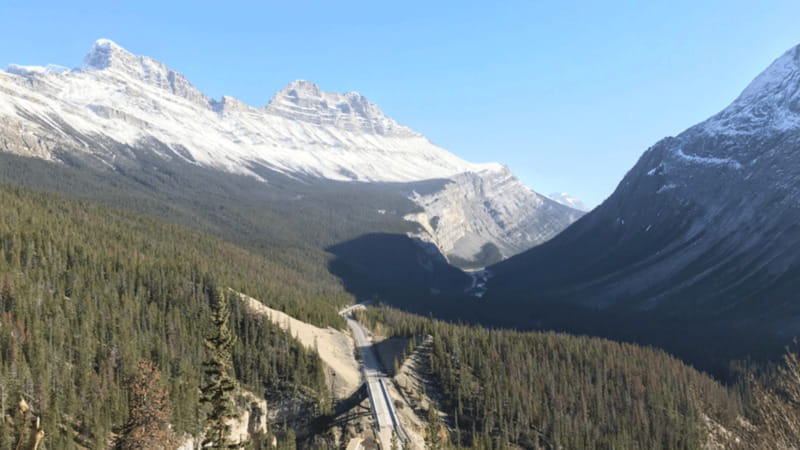 From Canmore/Banff: Icefields Parkway Experience - A viewpoint lunch stop, with one clear warning