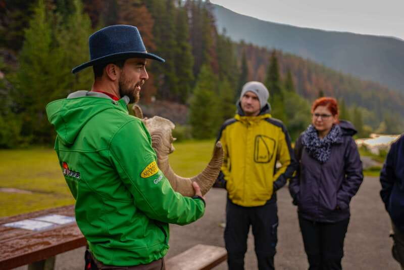 From Jasper: Jasper National Park Wildlife Discovery Tour - A simple start from your Jasper hotel