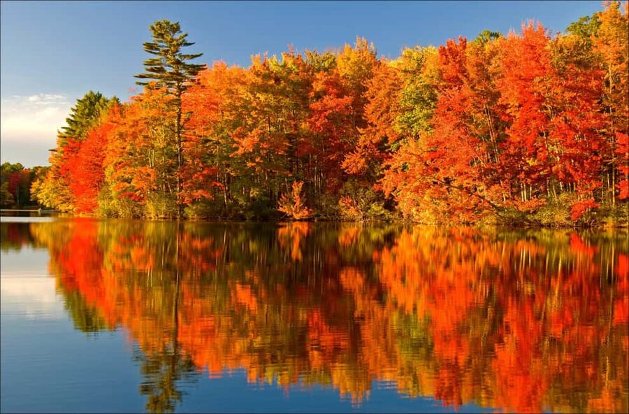 From Montréal: Mont-Tremblant 1-Day Tour - Key points at a glance