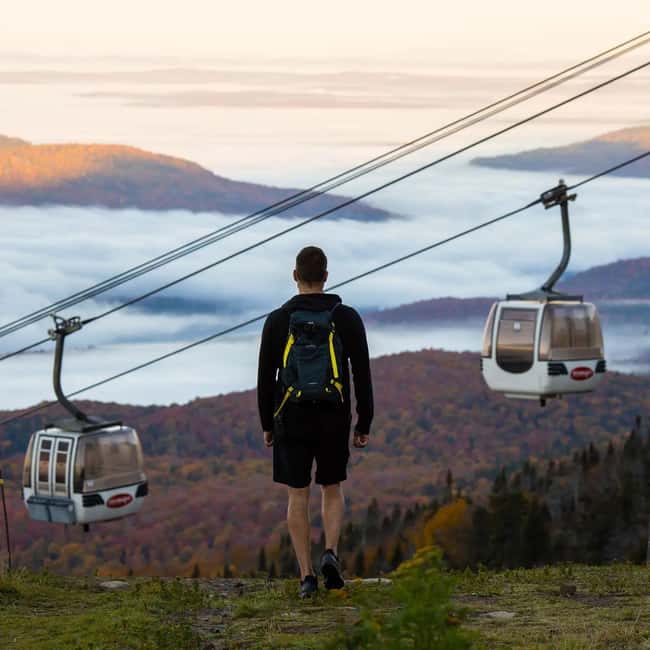 From Montréal: Mont-Tremblant 1-Day Tour - Walking above the Laurentian forest at Sentier des Cimes
