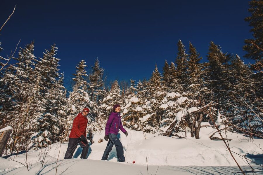 From Montreal: Mont-Tremblant National Park Hiking Day Trip - Choosing a trail that fits your day