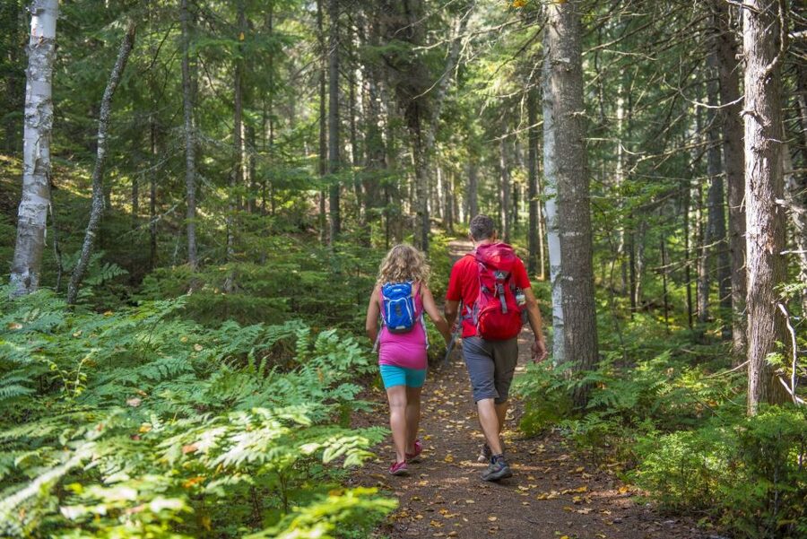 From Montreal: Mont-Tremblant National Park Hiking Day Trip - Timing, return, and the value of $72