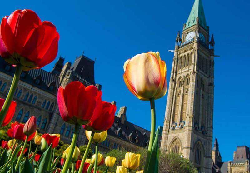 From Montreal: Private Ottawa Full Day Tour - Parliament Hill and Canada’s political center