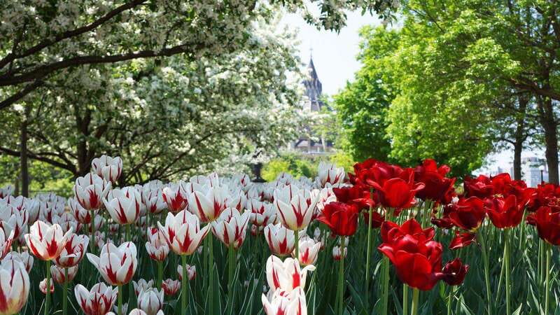 From Montreal: Private Ottawa Full Day Tour - Six hours to get your bearings in Ottawa