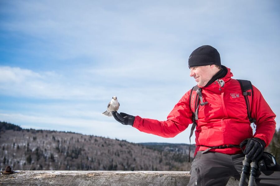 From Montreal: Sept-Chutes Regional Park Hike - Mont Brassard and the best views