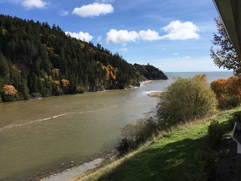 From Saint John: Bay of Fundy Bus Trip for Cruise Passengers - Spending the main part of the day around the Bay of Fundy