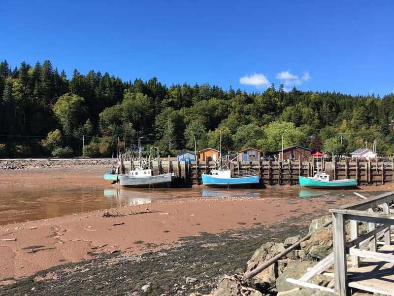 From Saint John: Bay of Fundy Bus Trip for Cruise Passengers - Why the guide matters so much