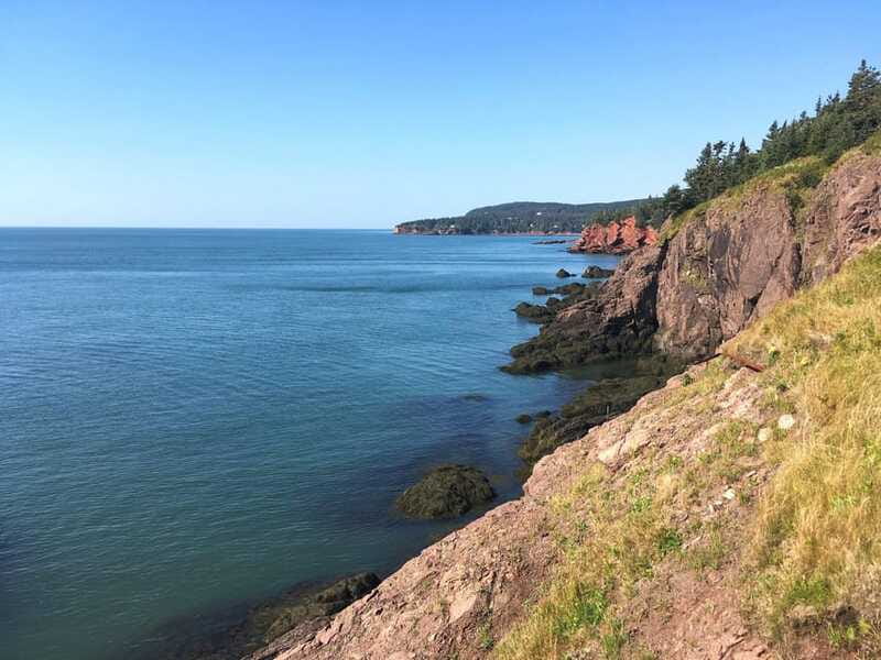 From Saint John: Bay of Fundy Bus Trip for Cruise Passengers - Returning to Saint John City Market
