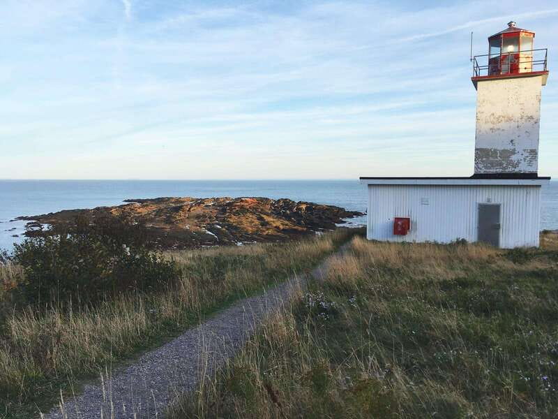 From Saint John: Bay of Fundy Bus Trip for Cruise Passengers - Is $87 a fair price?