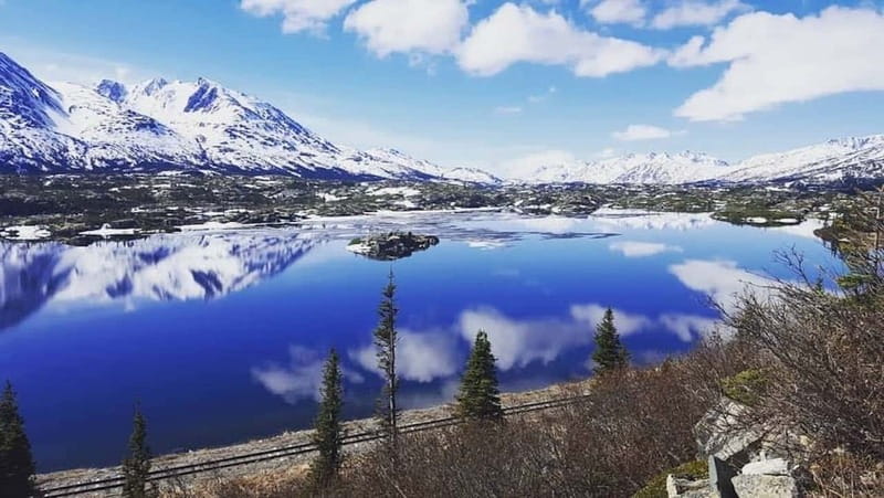 From Skagway: White Pass and Yukon Suspension Bridge Tour - Key points to know before you book