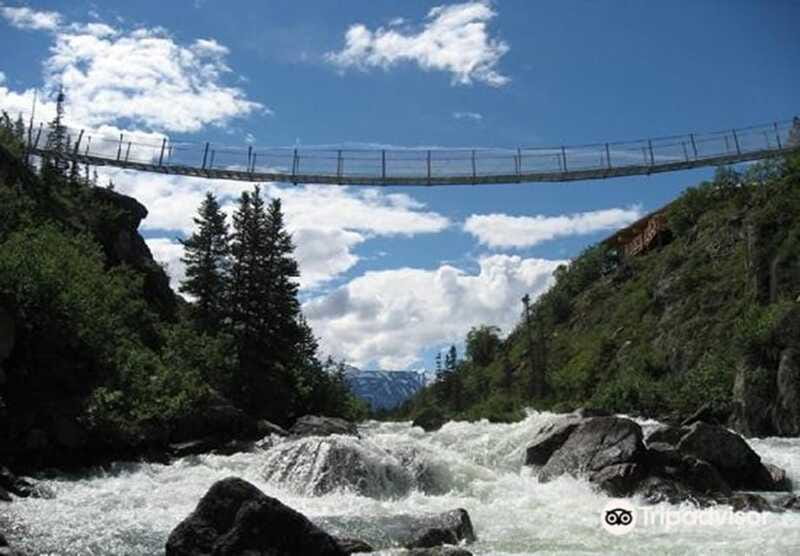 From Skagway: White Pass and Yukon Suspension Bridge Tour - Food, snacks, and the bison chili tip