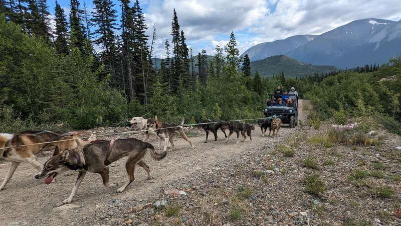 From Skagway: Yukon Sled Dog Mushing & White Pass Combo - Who should book this White Pass and Yukon tour?