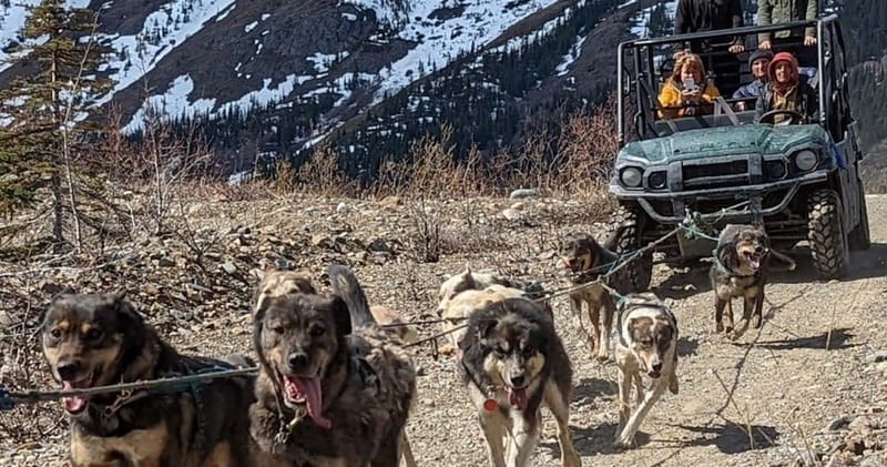 From Skagway: Yukon Sled Dog Mushing & White Pass Combo - White Pass Summit and the Tormented Valley