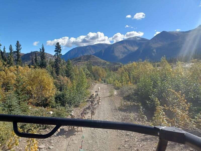 From Skagway: Yukon Sled Dog Mushing & White Pass Combo - The return drive to Skagway