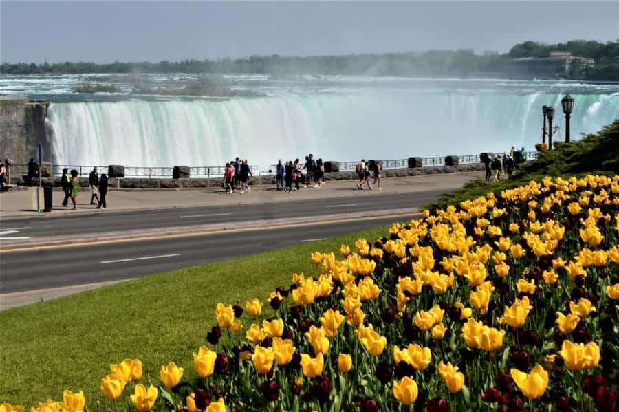 From Toronto: Niagara Falls Private Sightseeing Tour - Wandering through Niagara-on-the-Lake