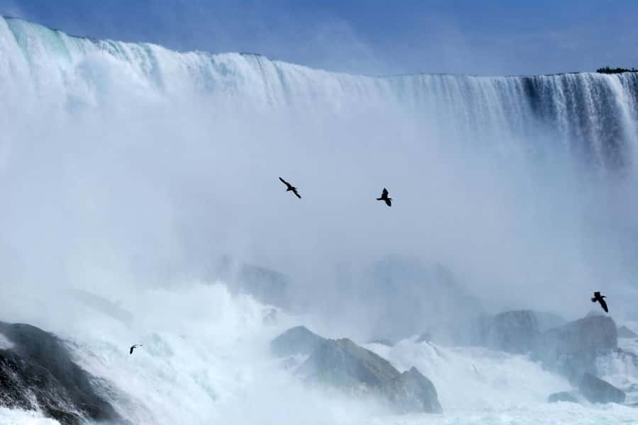 From Toronto: Niagara Falls Private Sightseeing Tour - Ending with Ontario wine