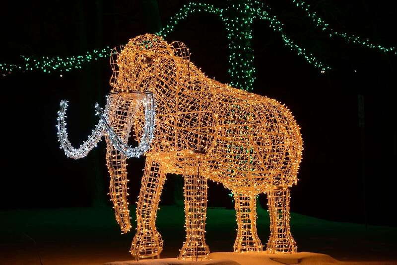 From Toronto: Winter Festival of Lights Niagara Falls Tour - Practical advice for making the day smoother