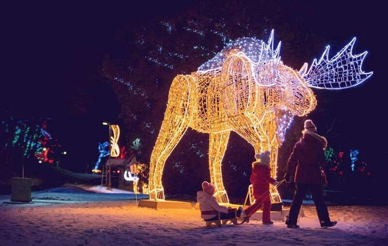 From Toronto: Winter Festival of Lights Niagara Falls Tour - Seeing the falls before the lights come on