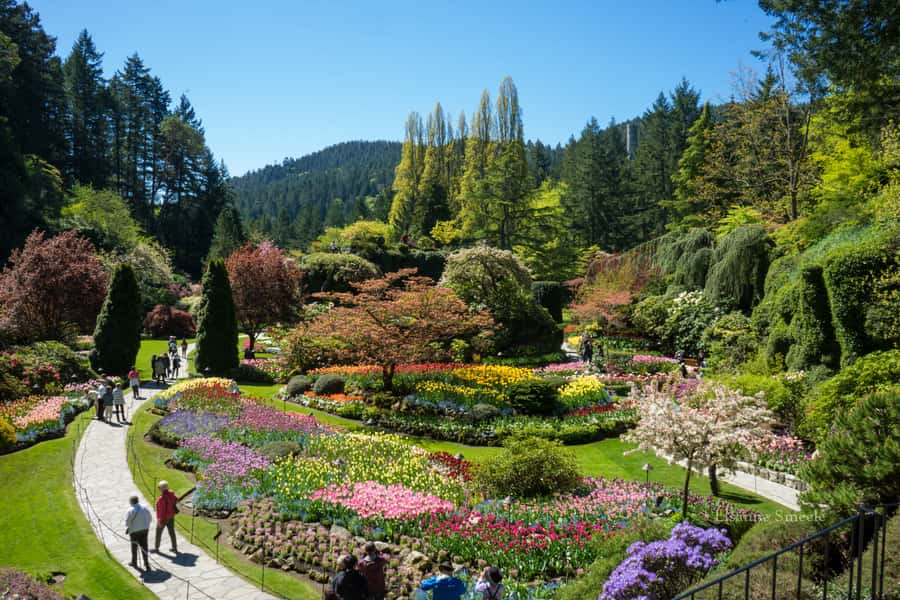From Vancouver: Butchart Gardens & Victoria Sightseeing Tour - Crossing the Strait of Georgia by ferry