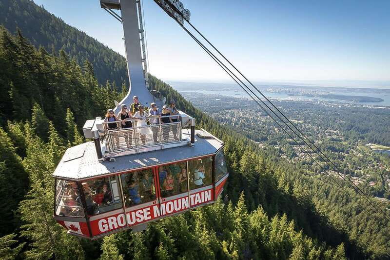 From Vancouver: Capilano Suspension Bridge & Grouse Mountain - Capilano Suspension Bridge and temperate rainforest