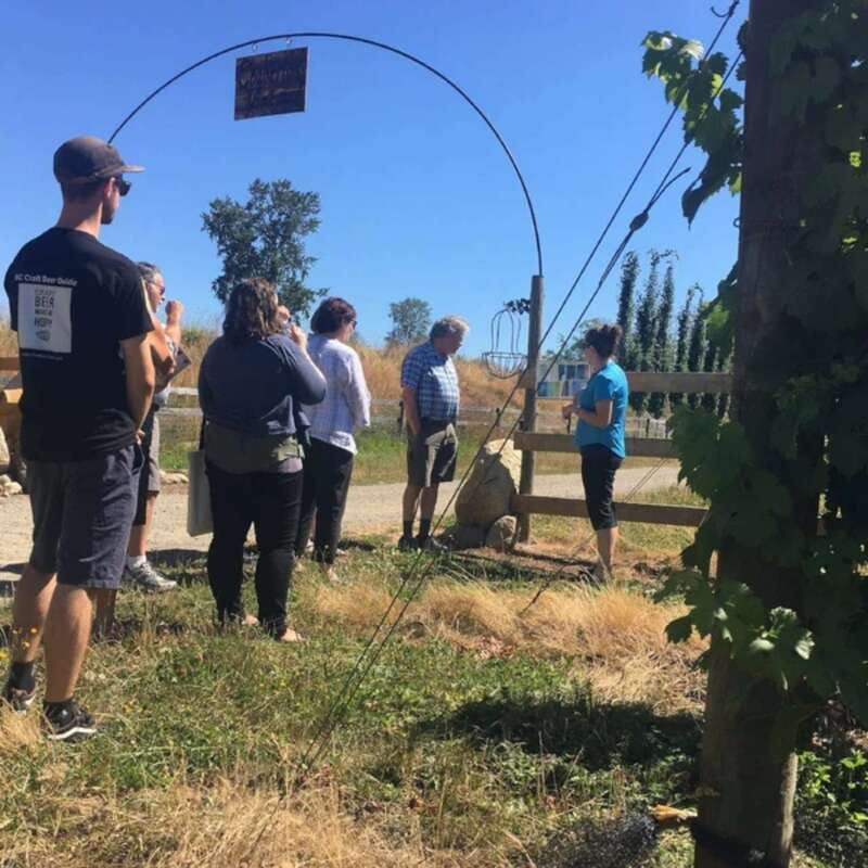 From Vancouver: Fraser Valley Wine Tour with Local Tastings - Finishing at Cavallo