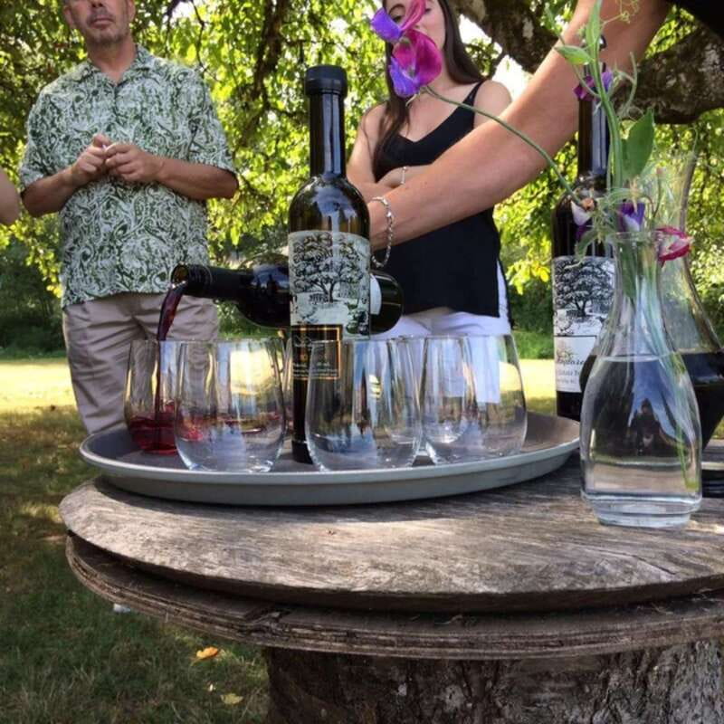 From Vancouver: Fraser Valley Wine Tour with Local Tastings - What the $131 price includes