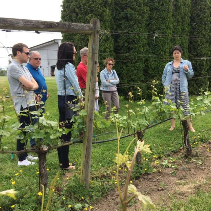 From Vancouver: Fraser Valley Wine Tour with Local Tastings - Timing, clothing, and practical limits