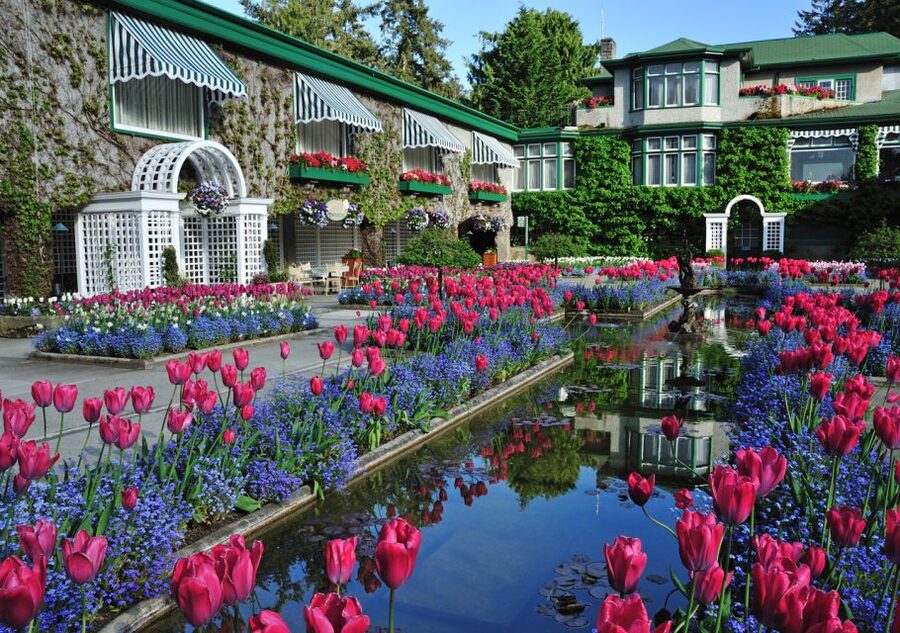 From Vancouver: Full-Day Victoria & Butchart Gardens Tour - Who will get the most from this tour?