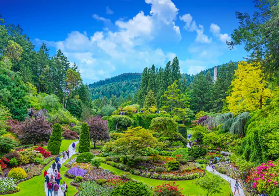 From Vancouver: Full-Day Victoria & Butchart Gardens Tour - Victoria’s Empress Hotel and Parliament Buildings