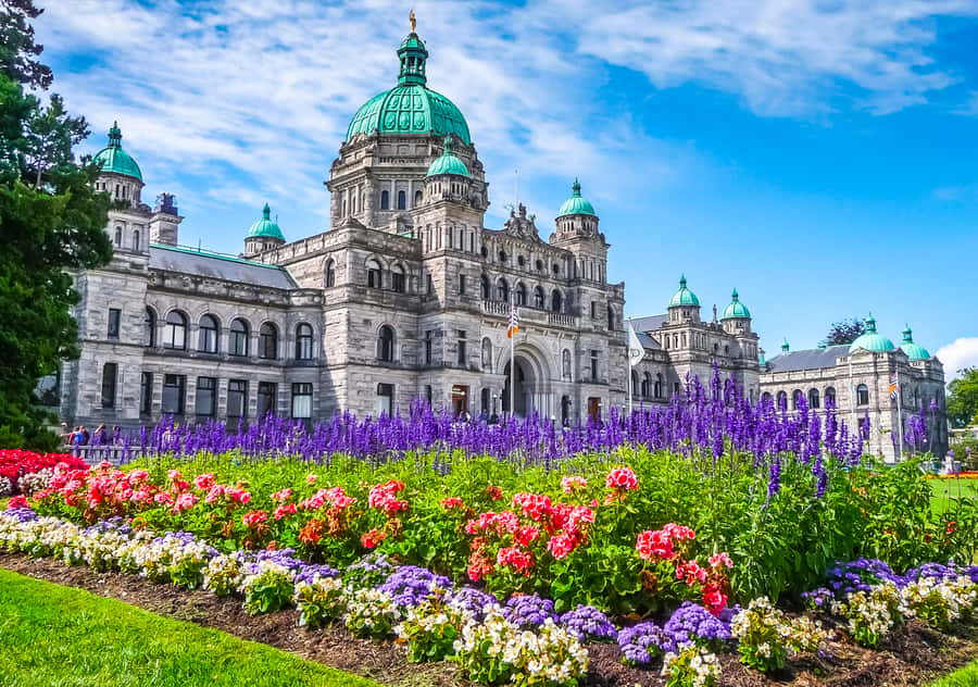 From Vancouver: Full-Day Victoria & Butchart Gardens Tour - The return journey to Vancouver