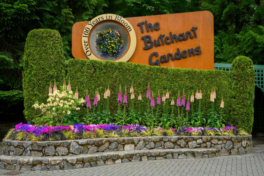 From Vancouver: Victoria Tour with Ferry & Butchart Gardens - Arriving on Vancouver Island and entering Victoria