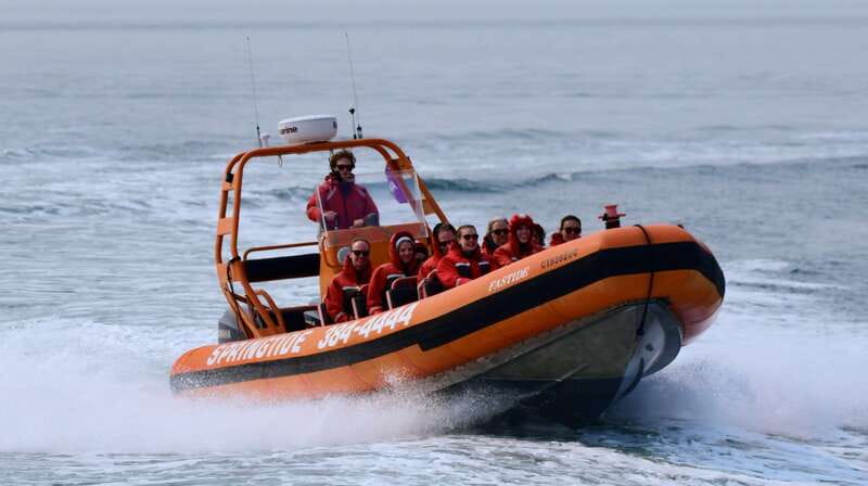 From Victoria: Whale Watching Tour by Zodiac Boat - Key points at a glance