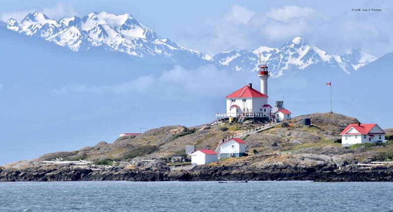 From Victoria: Whale Watching Tour by Zodiac Boat - What the ride feels like in real weather