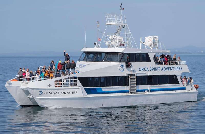 From Victoria: Whale Watching Trip on Covered Boat - Starting behind the Coast Victoria Hotel